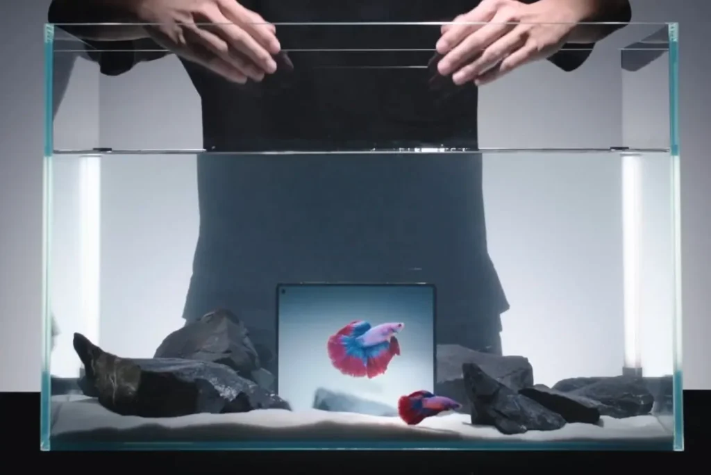 Vivo X Fold 5 vs X Fold 4